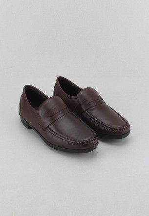 Recardo Men Slip Ons Shoes Dark Brown